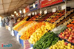 به نام کشاورز، به کام دلال