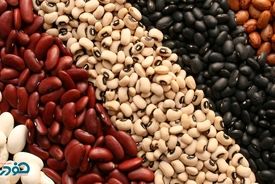 لوبیا در کمال ناباوری هم قیمت گوشت شد!