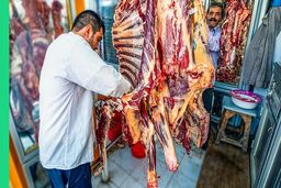واردات سنگین گوشت قرمز در جنگ / قول مهم به مردم داده شد