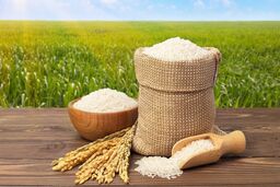پیش‌بینی مهم از آینده قیمت برنج / ارزانی در راه است؟