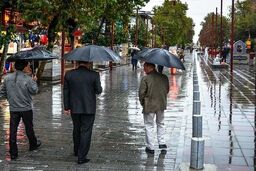 حرکت بزرگ در آسمان ایران تنها در ۲۴ ساعت / رکورد بارورسازی را زدیم!