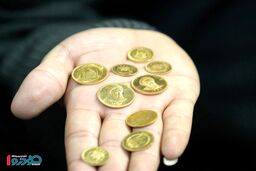 آخرین قیمت سکه در بازار - چهارشنبه ۷ آبان