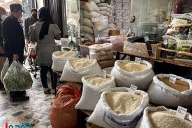 دریایی از برنج در ۲۴ ساعت وارد ایران شد!