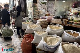 عرضه سنگین برنج در بازار / خبر خوش اعلام شد
