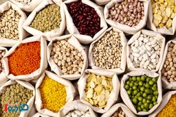 لوبیا چیتی با قیمت جدید به بازار آمد - ۳ مهر ۱۴۰۴