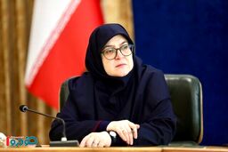حرف آخر سخنگوی دولت درباره تعطیلات تهران / تکلیف مشخص شد