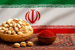تقدیر اروپا از کیفیت این محصول ایران