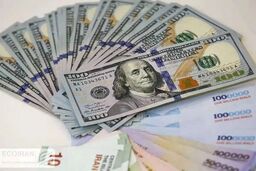 قیمت دقیق دلار در شرایط قطعی اینترنت / فارس نرخ ها را اعلام کرد