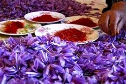 یک کیلو زعفران چند شد؟