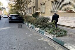 رونمایی از یک شغل جدید در ایران / رزرو جای پارک با سبد!